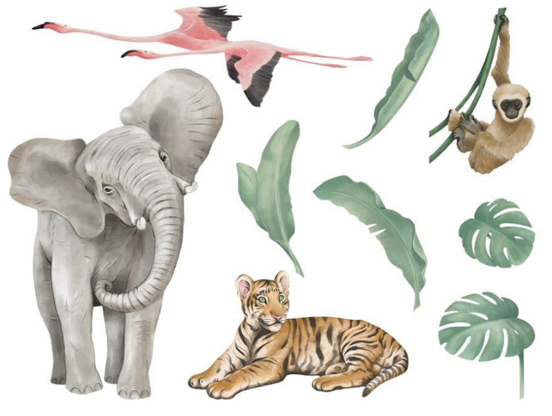 Kolekcia Safari