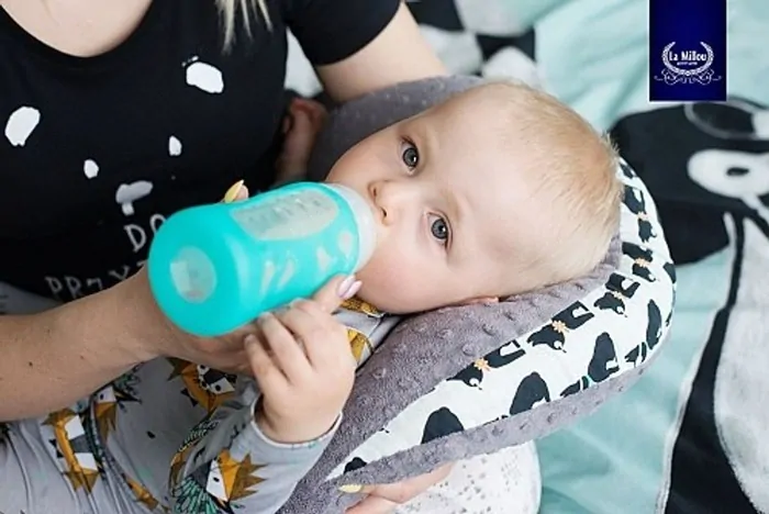 La Millou - Luxusný multifunkčný vankúš Grandma Dana's Hen - Navy/Aqua Palms