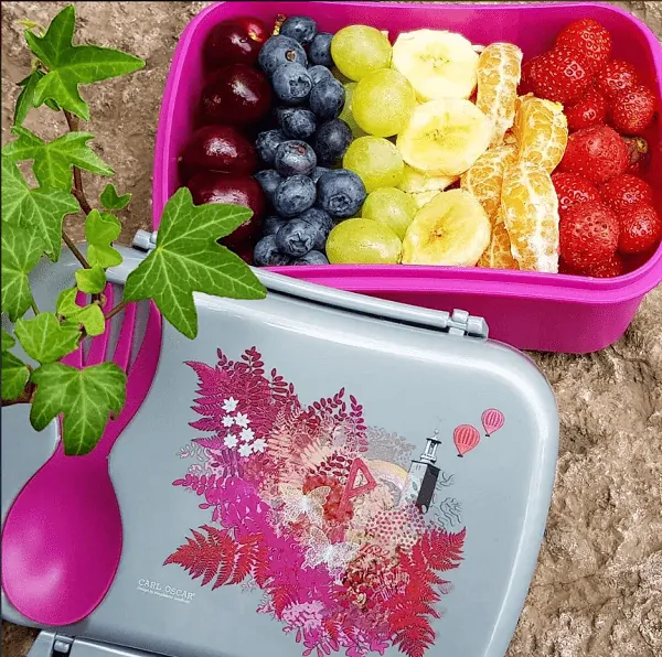 Obedový box N'ice Box Carl Oscar s chladiacou časti - Love