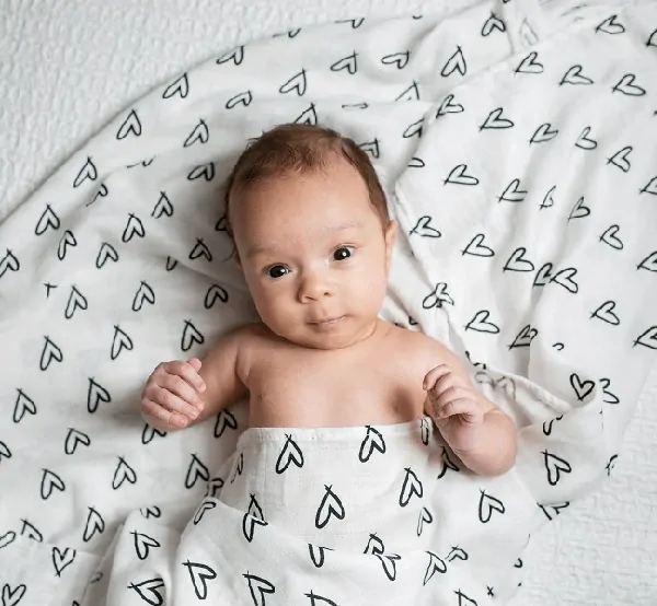 Mušelínová zavinovačka / plienka Lulujo - Koala 120 x 120 cm